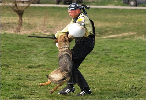 Training in Prague - 2. 4. 2008